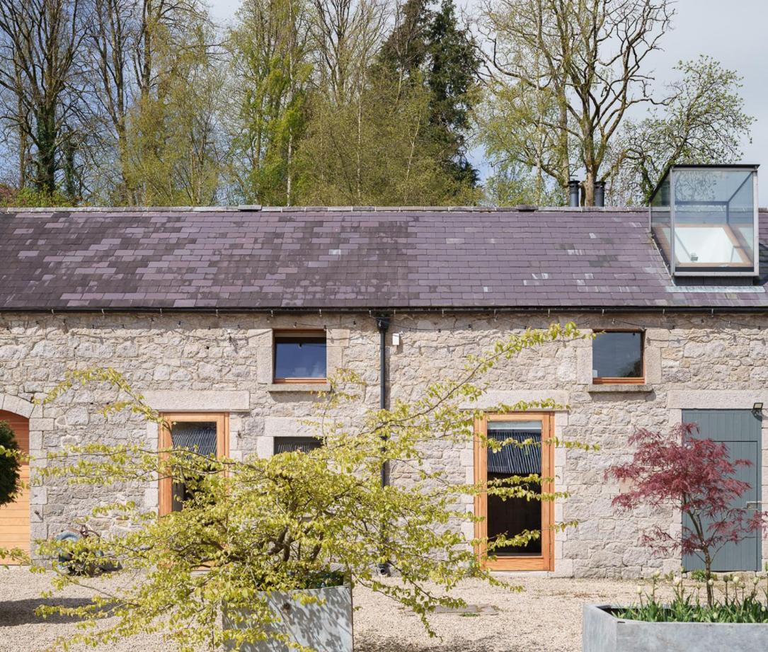 June Blake'S Garden Blessington Exterior foto