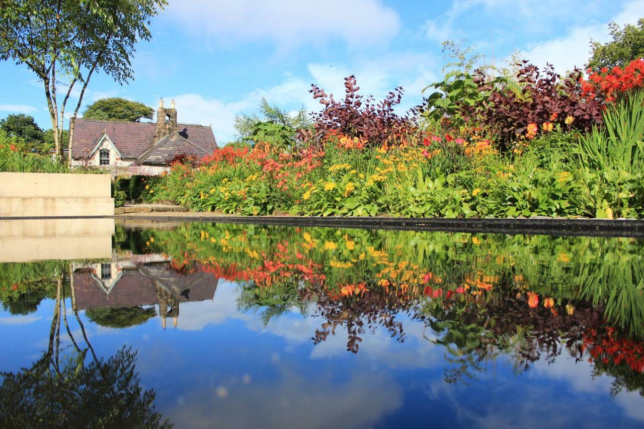 June Blake'S Garden Blessington Exterior foto